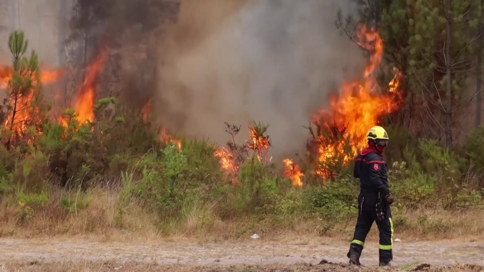 Infoclip: Wildfires in Biscaros (Landes, France) near the city of Bordeaux